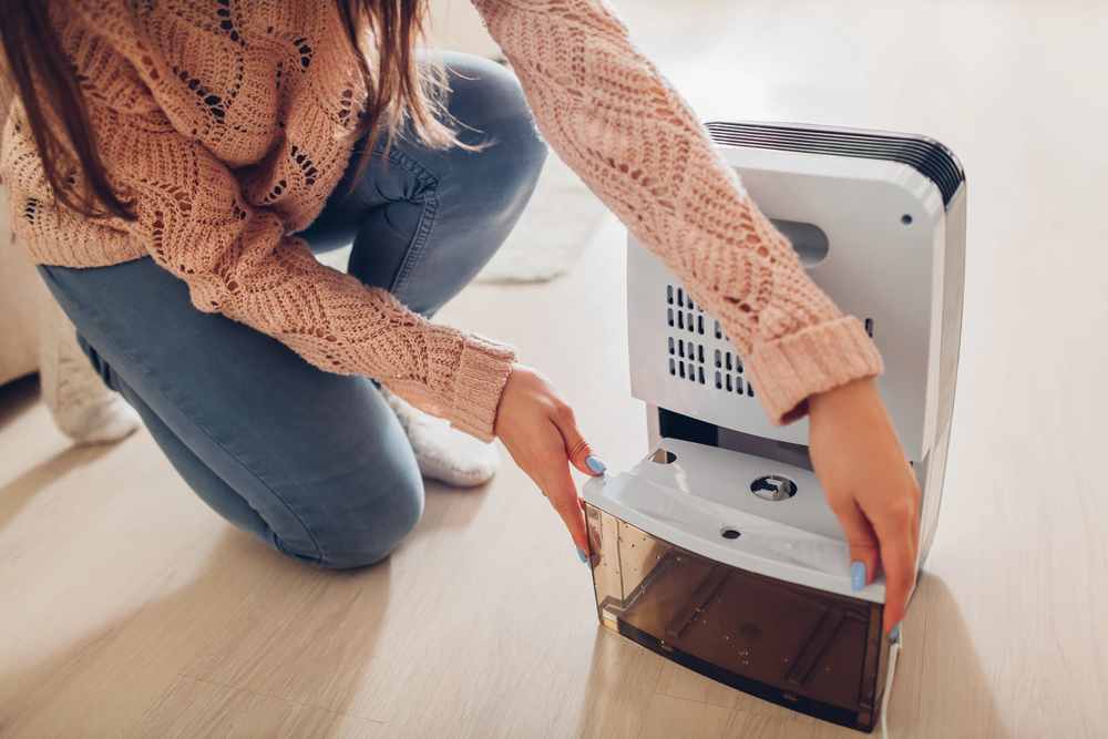 Woman working on dehumidifier